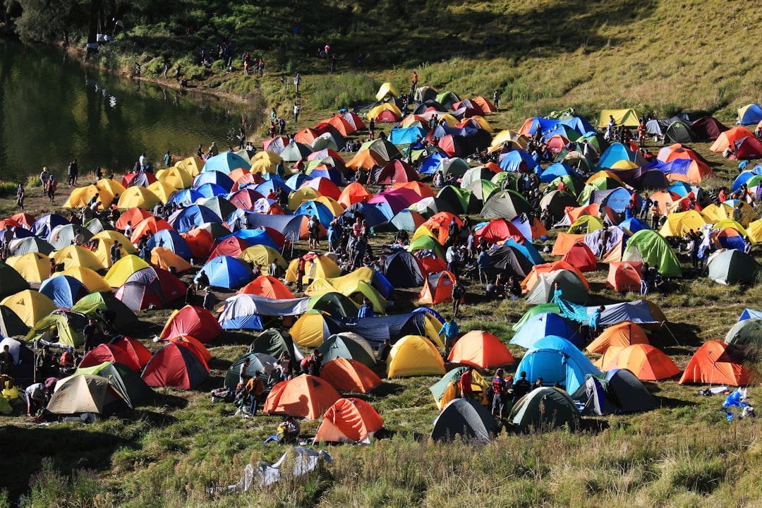 Oplev en Autentisk Campingoplevelse Hos Ribe Camping
