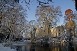 Sammenligning af brakpudser eller slagleklipper i havearbejde